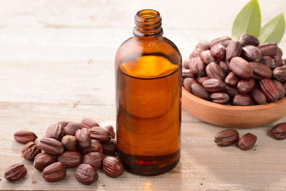 Tout savoir sur l’huile de jojoba - Superbon